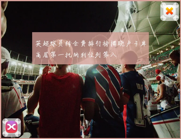 英超球员转会费排行榜揭晓卢卡库高居第一托纳利位列第八